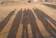 WP_001307.jpg
