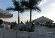 IMG_1756.jpg
