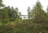 IMG_1366.jpg