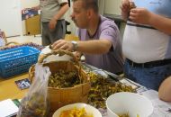 IMG_1105.jpg